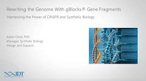 Rewriting The Genome Using Crispr And Synthetic Biology Biology Genome Science Student