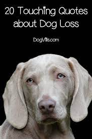 Losing a pet is an incredibly heartbreaking experience to go through. 20 Inspirational Touching Dog Loss Quotes Dog Loss Quotes Dog Hiccups Loss Of Dog