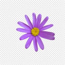 Purple was also a color restricted only to the royal families for many centuries due to the rarity of the dye. Communication Web Page Business Emoji Meaning Flower Corel Purple Violet Flower Png Pngwing