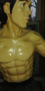 A great fighter like Bruce Lee is one in a generation.