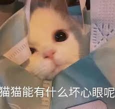 图纸 351827381 被 曾维欢 下载， 夏沫~咦 获得 1.75 元收益. èƒ½æœ‰ä»€ä¹ˆåå¿ƒçœ¼å'¢æ˜¯ä»€ä¹ˆæ¢— èƒ½æœ‰ä»€ä¹ˆåå¿ƒçœ¼å'¢æ¢—çš„å«ä¹‰åŠå‡ºå¤„ä»‹ç» å…¨çƒä¸‹è½½