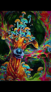Pin Von Runar Auf Goa Psychedelisch Zeichnungen Kunst