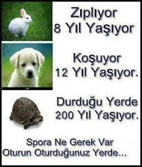 Hahahah Duz Mantik Spora Ne Gerek Var D Komik Komik Resimler Komik Seyler