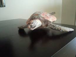 Check spelling or type a new query. Papercraft Sea Turtle Wip Origami And Paper Crafts Amino