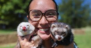 Fleming's ferrets embody exotic looks, personalities for emotional support 