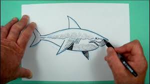 Wie Zeichnet Man Einen Haifisch Zeichnen Fur Kinder Youtube