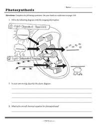 Photosynthesis Worksheet Photosynthesis Worksheet