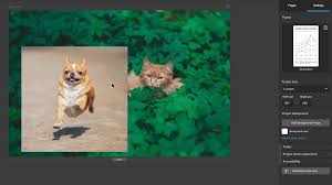 Select the image spoiled with strangers and upload it to inpaint online. Shagorsheik I Will Remove Bulk Image Background Removal Within 24 Hrs For 5 On Fiverr Com Colorful Backgrounds Bulk Image Image