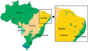 Click the map and drag to move the map around. Map Of Brazil Showing The Six Morphoclimatic Domains Codes Show The Download Scientific Diagram