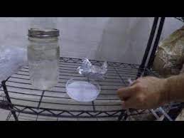 4 Better Way Of Making Mushroom Spore Syringes Lions Mane Spore Syringes - Youtube Mushroom Spores Lion Mane Stuffed Mushrooms