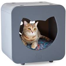 Are you searching for stylish facebook names? Kitty Kasas Bedroom Gray For Cat 15 75 H Petco