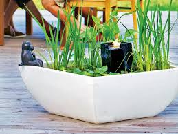 Im Quadrat Wurde Dieser Kleine Wassergarten 75 X 75 X 30 Cm Angelegt Becken Pflanztreppe Pumpe Und Beleuchtetes W Wasserspiel Garten Wassergarten Pflanzen