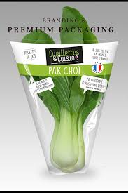 Pakchoi Packaging Sayuran Hidroponik Petani