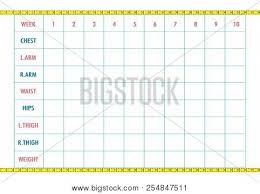 true body measurement for weight loss measurements chart for