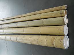 5"x 8' Large Diameter Bamboo Poles(Bale of 5) | oriontradingcompany
