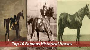 North american triple crown winner in 1973. 100 Famous Horse Names Ideas For Famed Celebrated Horses Pet Keen