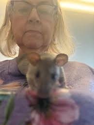 New squirrel about to give birth in Corpus Christi