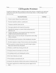 Animal And Plant Cells Worksheet Inspirational 1000 Images About Plant Animal Cells On Pinterest Chessm In 2020 Cells Worksheet Plant Cells Worksheet Cell Organelles