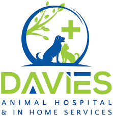 Cvs.com® is not available to customers or patients who are located outside of the united states or u.s. Your Family Veterinarian In Yuba City Ca Davies Animal Hospital