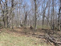Caleb Embree Cemetery in Missouri