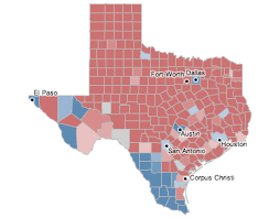 Texas Election Results 2010 The New York Times