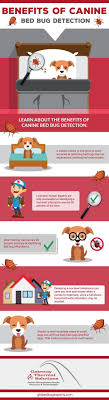 Find information on the offered services and products. Pest Control Inspections Have Advanced Significantly Over The Years But Sometimes Technology Isn T The Only Way To Go Learn A Bed Bugs Pest Control Detection
