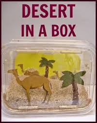 Desert Biome In A Box Desert In A Box Biome Diorama Desert Crafts Biomes Crafts For Kids