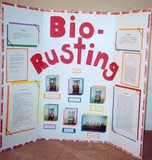 Biology Science Fair Projects Ideas Bio Rusting Science Fair Projects Biochemistry Super Science Fair Projects Biology Science Fair Projects Science Fair Projects Fair Projects