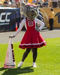 North carolina state university wolf and wolf pack live mascot: North Carolina State Wolfpack Mascot Ron Pradetto Photography