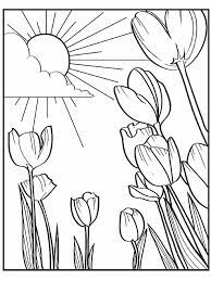 Spring flowers, blossom trees, birds with their chicks, holidays, weather, nature and other spring scenes colouring sheets. Printable Spring Coloring Pages Parents