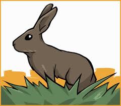 Domesticated rabbits can live between eight to 12 years. The Lifespan Of A Rabbit They Live Longer Than You Think