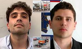 After hours of running gun battles in the city of culiacan, the current whereabouts of one of chapo's sons ovid guzman, who was captured by security forces but possibly released hours later, are unknown. El Chapo S Son Proves To Be Hard To Catch As Father Once Was Thanks To Help From His Older Brother Daily Mail Online