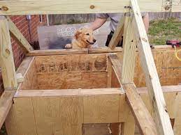 Projects made from these plans. Two Dog House Plans Online Shopping
