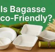 Is Bagasse Eco-Friendly? Unpacking the Truth About Sugarcane ...