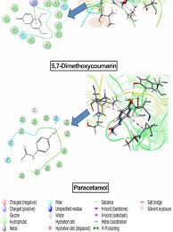 Image result for Premna velutina