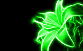 See the best hd green neon wallpapers collection. Neon Green Wallpapers Wallpaper Cave