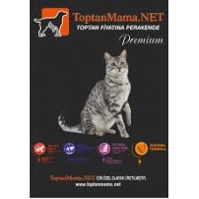 En Ucuz Toptanmama Gold Premium Kedi Mamasi 15kg Gurme Tavuklu Balikli Kuzu Etli Yetiskin Yavru Kedi