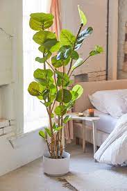 Potted Sea Grape Faux Plant Faux Plants Decor Faux Plants Plants