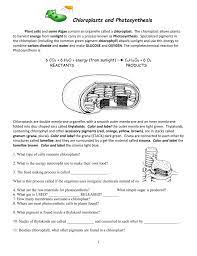 Structure and function of mitochondria and chloroplasts. 34 Read Answer Color Label Mitochondria Answer Key Label Design Ideas 2020