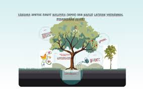 Sehinggalah pada tahun 2005 yang mana ketika itu saya yang juga ahli jemaah pengarah ppk kuala lipis bertemu dengan pegawai tunas lembaga minyak sawit malaysia (mpob), engku norsupian ardi engku nordin, yang memberikan. Lembaga Minyak Sawit Malaysia Mpob By Adani Afiqah