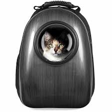 The best backpacks for cats. The 13 Best Cat Bubble Backpacks In 2021 Technomeow