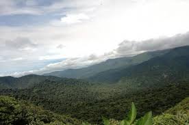 Check spelling or type a new query. Monteverde Cloud Forest Reserve Costa Rica Info