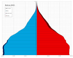Bolivia also attempted to privatize the water supply, with predictable results. Demographics Of Bolivia Wikipedia
