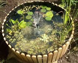 Pin Von Shaun Shrosbree Auf Small Fish Ponds Garten