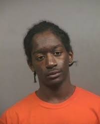 Petition · Honorable City Court Judge of Erie County Court : Justice for  Burned Puppy "Phoenix"!