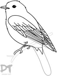 Step 13 How To Draw A Bird Body Bird Drawings Simple Bird Drawing Drawing Birds Easy