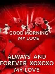 Which is the best good morning flower wallpapers collection in web. Good Morning My Love Flower Gif Goodmorningmylove Flower Heart Discover Share Gifs