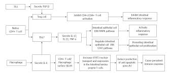 Updated Review On Immune Factors In Pathogenesis Of Crohns