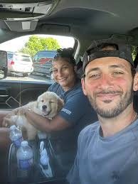 Raising a golden retriever: key considerations