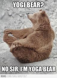A Moment On The Lips A Lifetime On The Hips Meme Yogi Bear Animals Wild Cute Animals Funny Animals